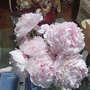 Meet your Posher, Racquel